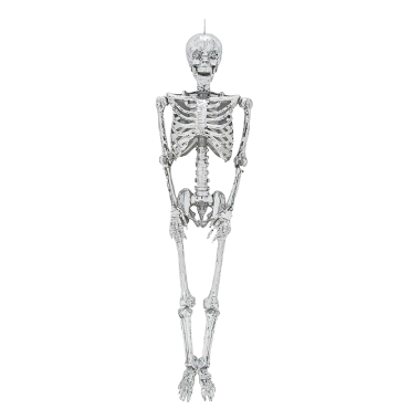 Disco skeleton
